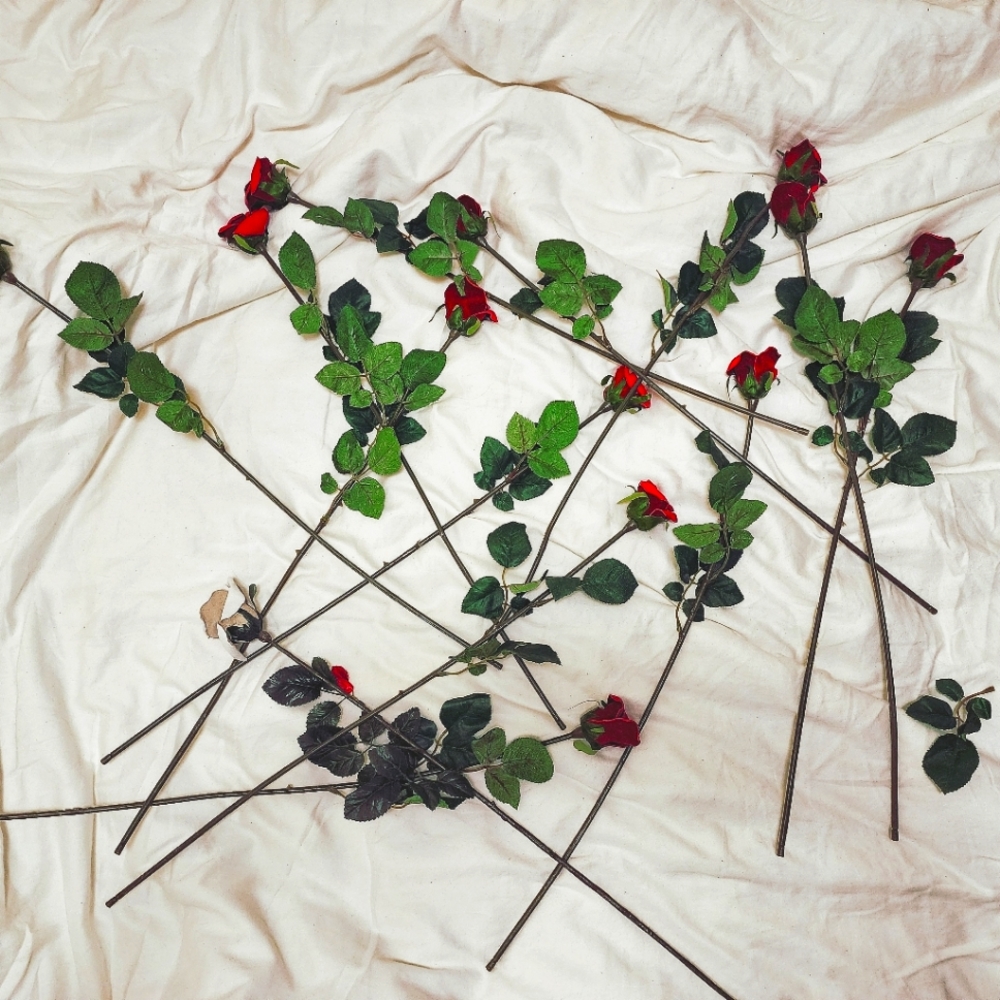 Leather Roses - Picture 2 of 4